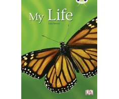 KNYGA Lisa James Bug Club Guided Non Fiction Year 1 Geltona C My Life