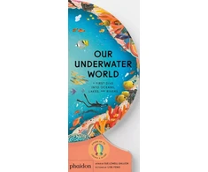 KNYGA Lisk Feng Our Underwater World