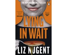 KNYGA Liz Nugent Lying in Wait