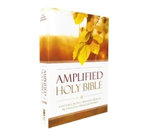 KNYGA Lockman Foundation Staff Zondervan Amplified Outreach Bible, Paperback: Capture the Full Meaning Behind the Original Greek and Hebrew