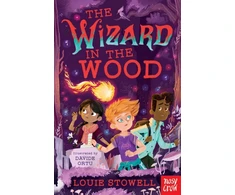 KNYGA Louie Stowell Wizard in the Wood