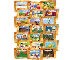 KNYGA Louise Van Pottelsberghe Jolly Phonics Oranžinis Level Readers Complete Set, in Precursive Letters (British English edition)