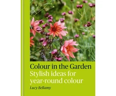 KNYGA Lucy Bellamy Colour in the Garden