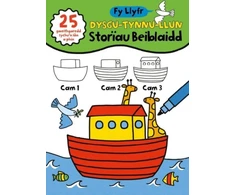 KNYGA Mair Jones Parry Fy Llyfr Dysgu Tynnu Llun - Storiau Beiblaidd
