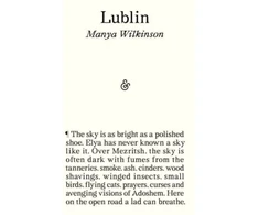 KNYGA Manya Wilkinson Liublinas