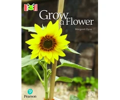 KNYGA Margaret Clyne Bug Club Reading Corner: Age 4-7: Grow a Flower