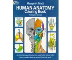 KNYGA Margaret Matt Human Anatomy