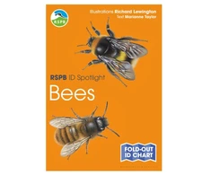 KNYGA Marianne Taylor RSPB ID Spotlight - Bees