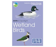 KNYGA Marianne Taylor RSPB ID Spotlight - Wetland Birds
