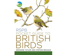 KNYGA Marianne Taylor Taylor Marianne RSPB Pocket Guide to British Birds
