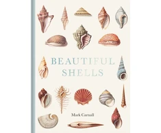 KNYGA Mark Carnall Beautiful Shells