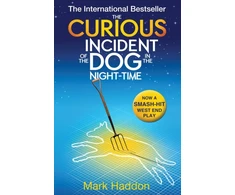 KNYGA Mark Haddon Curious Incident of the Dog In the Night-time