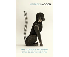 KNYGA Mark Haddon Curious Incident of the Dog in the Night-time