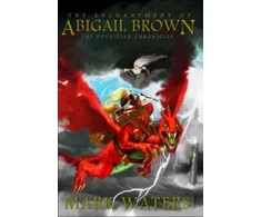 KNYGA Mark Waters Enchantment of Abigail Brown