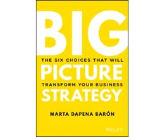 KNYGA Marta Dapena Baron Big Picture Strategy, The Six Choices That Will Transform Your Business