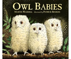 KNYGA Martin Waddell Waddell Martin Owl Babies: Over two million copies sold - a heartwarming bedtime picture book story that comforts and reassures - also the perfect gift for birthdays, new parents and baby showers