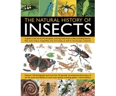 KNYGA Martin Walters Natural History of Insects