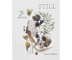 KNYGA Mary Jo Hoffman STILL, The Art of Noticing