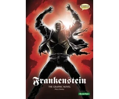 KNYGA Mary Shelley Frankenstein The Graphic Novel, Quick Text