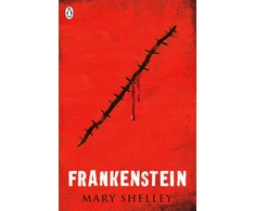 KNYGA Mary Shelley Frankenšteinas