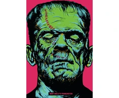 KNYGA Mary Shelley Shelley Mary Frankenšteinas