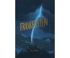 KNYGA Mary Shelley Shelley Mary Frankenšteinas