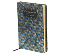 KNYGA Mary Shelley Shelley Mary Frankenšteinas