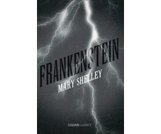 KNYGA Mary Shelley Frankenšteinas
