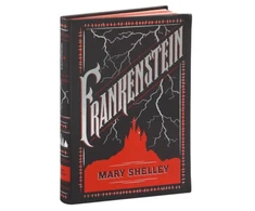 KNYGA Mary Shelley Frankenšteinas