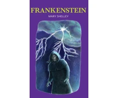 KNYGA Mary Shelley Shelley Mary Frankenšteinas