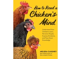 KNYGA Melissa Caughey How to Read a Chicken's Mind