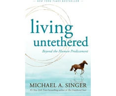 KNYGA Michael A Singer Singer Michael A Living Untethered: Beyond the Human Predicament