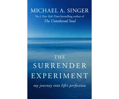 KNYGA Michael A Singer Singer Michael A Surrender Experiment: My Journey into Life's Perfection