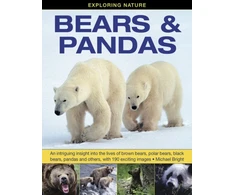 KNYGA Michael Bright Exploring Nature: Bears &amp; Pandas