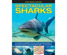 KNYGA Michael Bright Exploring Nature: Spectacular Sharks