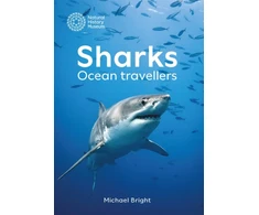 KNYGA Michael Bright Sharks, Ocean Travellers