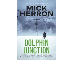 KNYGA Mick Herron Dolphin Junction