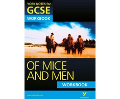 KNYGA Mike Gould Gould Mike Of Mice and Men: York Notes GCSE Workbook (Grades A*-G)