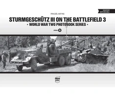 KNYGA Mtys Pnczl Sturmgeschutz III on the Battlefield 3