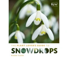 KNYGA Naomi Slade Plant Lover's Guide to Snowdrops