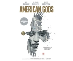 KNYGA Neil Gaiman American Gods: Shadows