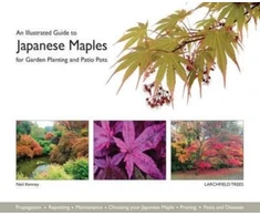 KNYGA Neil Kenney Illustrated Guide to Japanese Maples for Garden Planting and Patio Pots