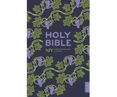 KNYGA New International Version Version New NIV Holy Bible (Hodder Classics)