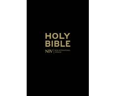 KNYGA New International Version Version New NIV Holy Bible: Classic Juodas edition