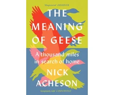KNYGA Nick Acheson Meaning of Geese