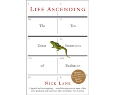 KNYGA Nick Lane Life Ascending