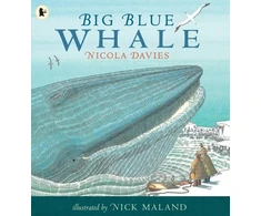 KNYGA Nicola Davies Big Mėlyna Whale