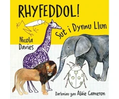 KNYGA Nicola Davies Rhyfeddol! Sut i Dynnu Llun