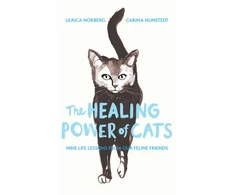 KNYGA Nunstedt, Carina; Norberg, Ulrica Power of Cats: Nine Lessons from Our Feline Friends