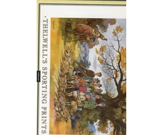 KNYGA Norman Thelwell Thelwell's Sporting Prints